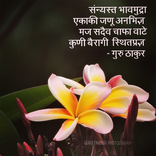 Guru Thakur 20150324 Photo